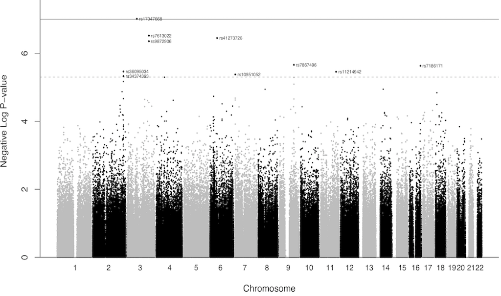 Genetic variation between population cohorts plot