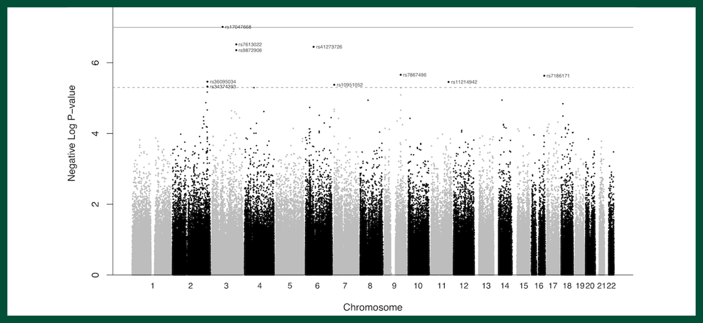 Genetic variation between population cohorts plot